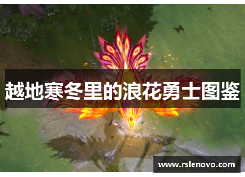 越地寒冬里的浪花勇士图鉴