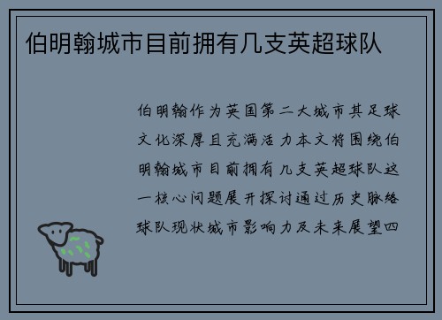 伯明翰城市目前拥有几支英超球队