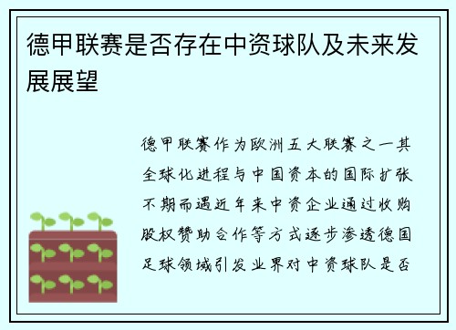 德甲联赛是否存在中资球队及未来发展展望