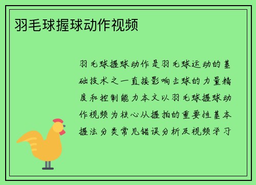 羽毛球握球动作视频